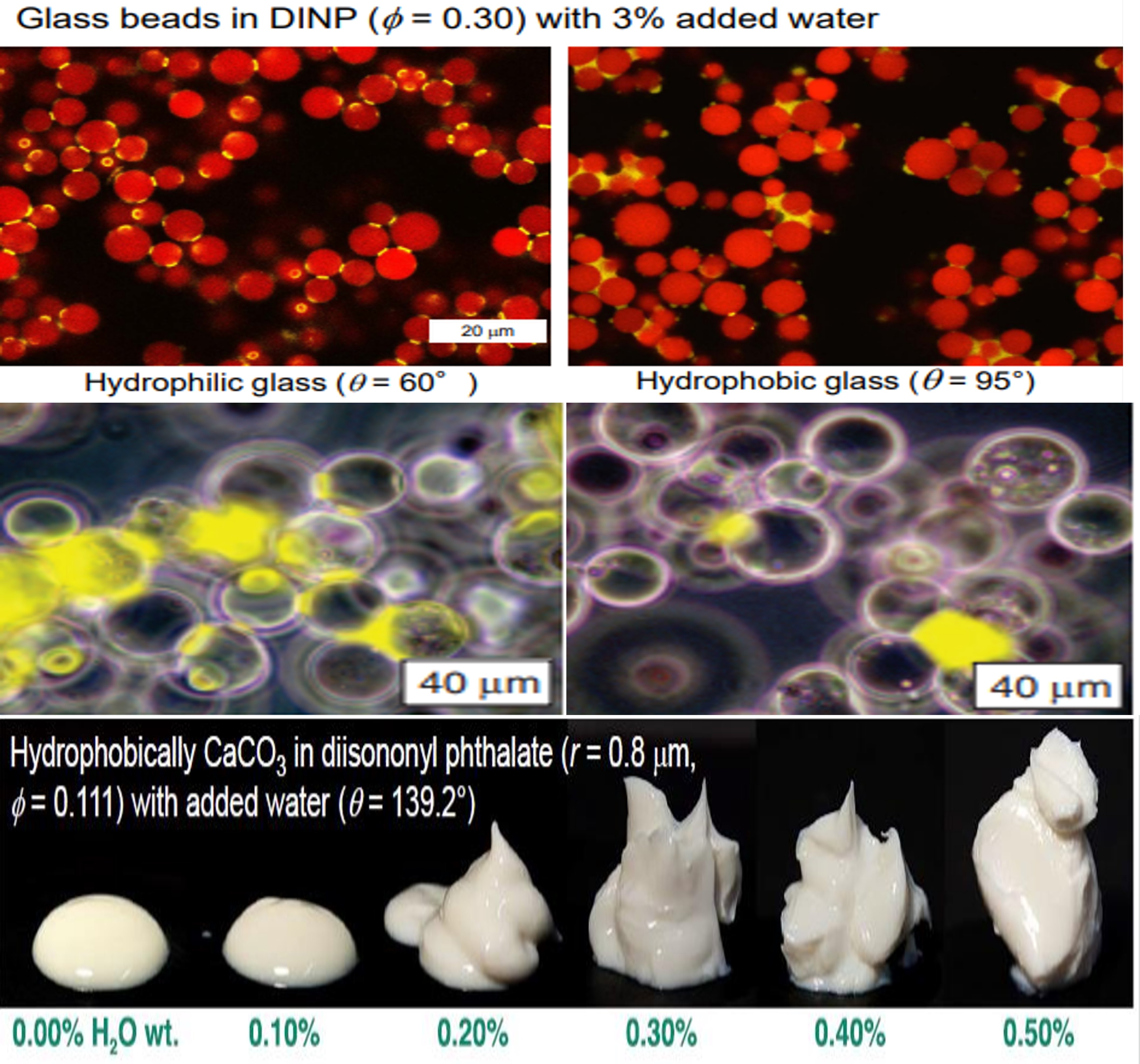 ��������-Ȩ����������Ѷ��ֱ��������һվʽ����ƽ̨